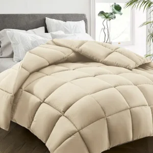 HYLEORY All Season Queen Size Bed Comforter - Cooling Down Alternative Quilted Duvet Insert with Corner Tabs - Winter Warm - Machine Washable - Beige